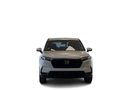 2025 Honda CR-V in Regina, Saskatchewan
