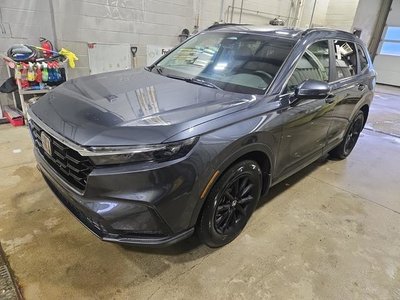 2026 Honda CR-V in Regina, Saskatchewan
