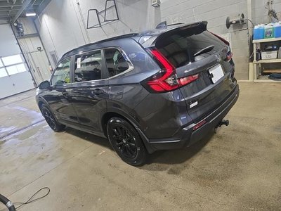 2026 Honda CR-V in Regina, Saskatchewan