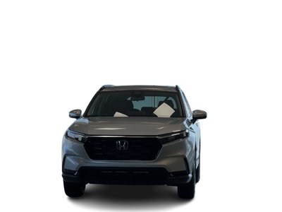2026 Honda CR-V in Regina, Saskatchewan