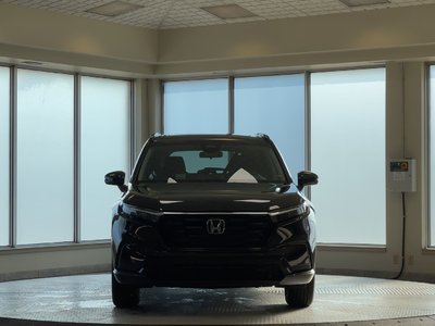 2026 Honda CR-V in Regina, Saskatchewan