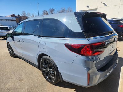 2025 Honda Odyssey in Regina, Saskatchewan