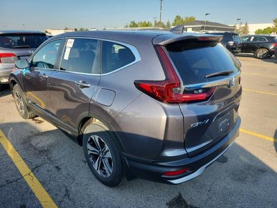 2021 Honda CR-V in Regina, Saskatchewan