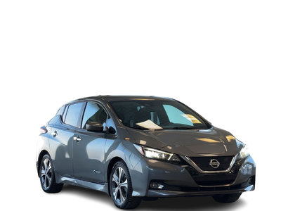 2019 Nissan Leaf in Regina, Saskatchewan