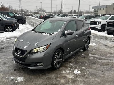 2019 Nissan Leaf in Regina, Saskatchewan