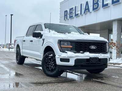 2025 Ford F-150 STX 2025 Model Discount!