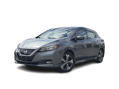 2019 Nissan Leaf in Langley, British Columbia