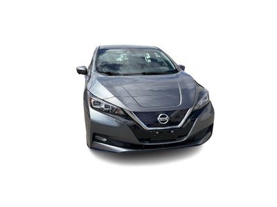 2019 Nissan Leaf in Langley, British Columbia