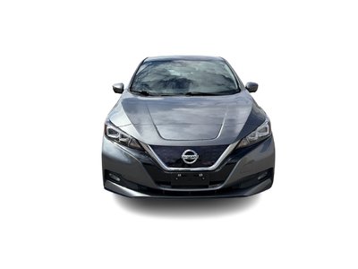 2019 Nissan Leaf in Langley, British Columbia