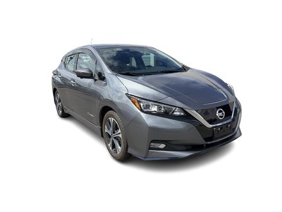 2019 Nissan Leaf in Langley, British Columbia