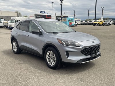 2022 Ford Escape in Brampton, Ontario