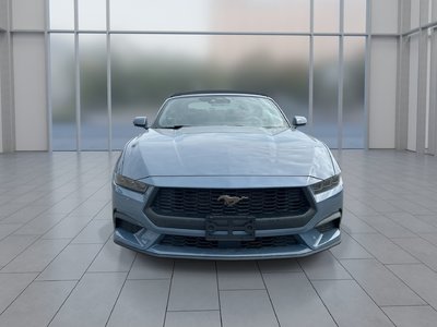 2025 Ford Mustang convertible in Toronto, Ontario