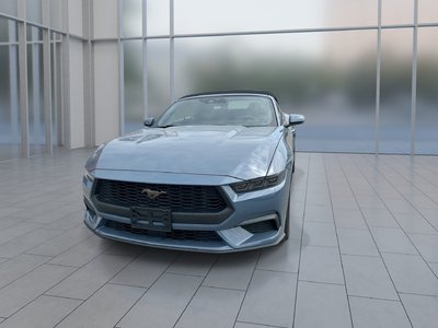 2025 Ford Mustang convertible in Toronto, Ontario