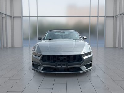 2025 Ford Mustang convertible in Toronto, Ontario