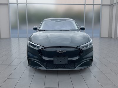 2025 Ford Mustang Mach-E in Toronto, Ontario