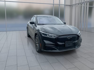 2025 Ford Mustang Mach-E in Toronto, Ontario
