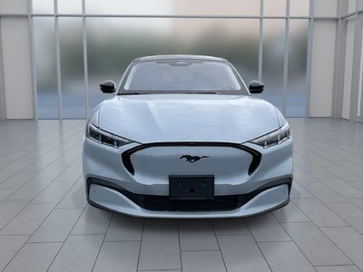 2025 Ford Mustang Mach-E in Toronto, Ontario