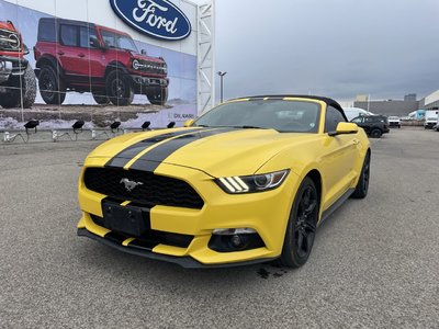 2016 Ford Mustang in Toronto, Ontario