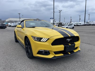 2016 Ford Mustang in Toronto, Ontario