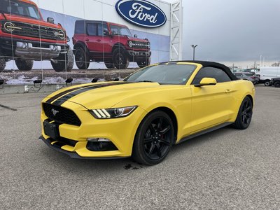 Ford Mustang  2016 à Toronto, Ontario