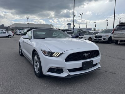 2016 Ford Mustang in Woodbridge, Ontario