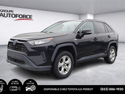 Toyota RAV4 Hybrid LE, A/C. POWER GROUP, BACK UP CAMERA 2019 AUCUN ACCIDENT!