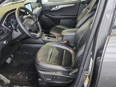 2022 Ford Escape in Regina, Saskatchewan