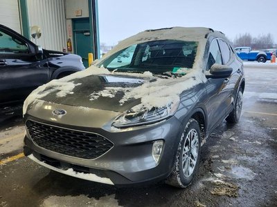 2022 Ford Escape in Regina, Saskatchewan