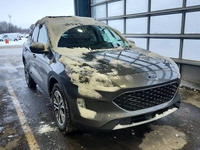 2022 Ford Escape in Regina, Saskatchewan