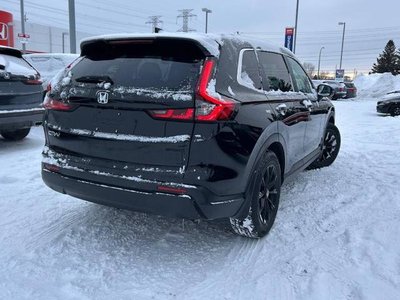 2025 Honda CR-V in Regina, Saskatchewan
