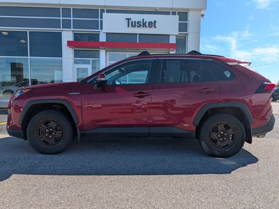 2019 Toyota RAV4