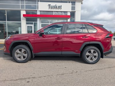 2025 Toyota RAV4