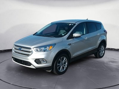 Ford Escape SE 2019