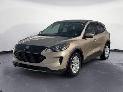 Ford Escape SE 2020