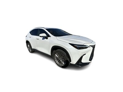 2022 Lexus NX in Woodbridge, Ontario