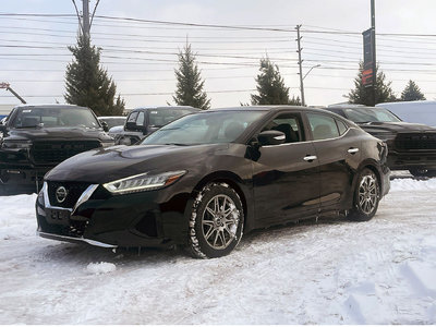 Nissan Maxima  2019 à Mississauga, Ontario