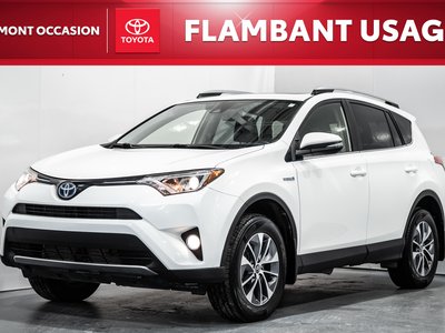 RAV4 Hybrid