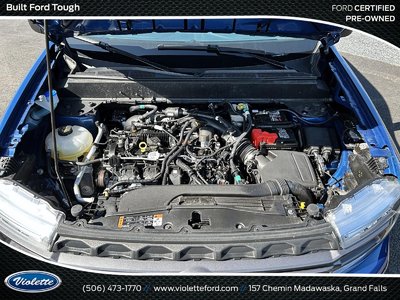 Photo Image