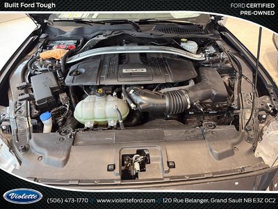 Photo Image