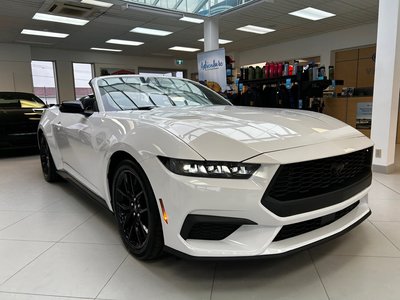 Ford Mustang ECOBOOST 2024