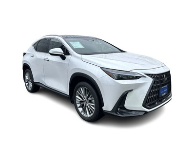 2023 Lexus NX in Vancouver, British Columbia