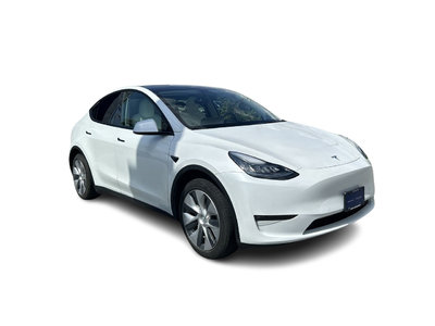 2021 Tesla Model Y in Langley, British Columbia