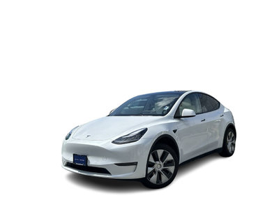2021 Tesla Model Y in Langley, British Columbia