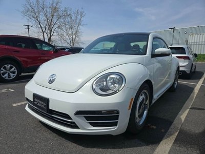 Beetle