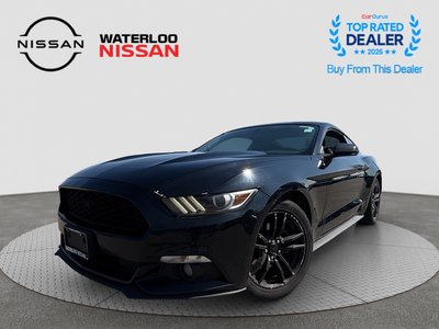 Mustang