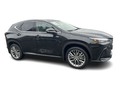 2022 Lexus NXh in Vancouver, British Columbia