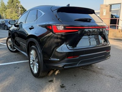2024 Lexus NXh in Vancouver, British Columbia