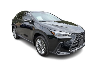 2024 Lexus NXh in Langley, British Columbia
