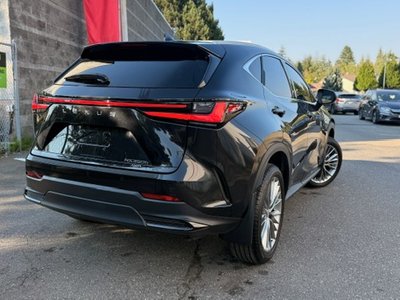 2024 Lexus NXh in Vancouver, British Columbia