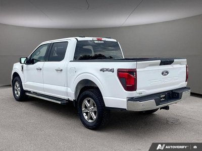 2025 Ford F-150 XLT — photo 4